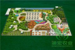 如皋金陽(yáng)現(xiàn)代農(nóng)業(yè)基地